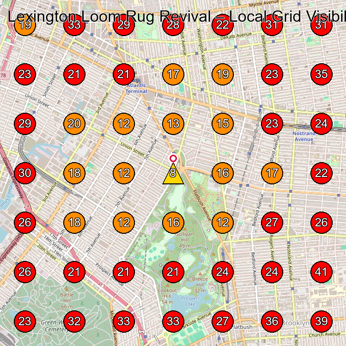 Lexington Loom Rug Revival GeoGrid visibility map for Carpet Cleaning Service in Brooklyn